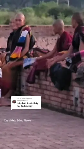 Trả lời @lamngocthuy22  Sư cô Nhuận Hải tìm Thầy Minh Tuệ . #thayminhtang #suconhuanhai #thayminhtuemoinhat #thayminhtue #tinco369 