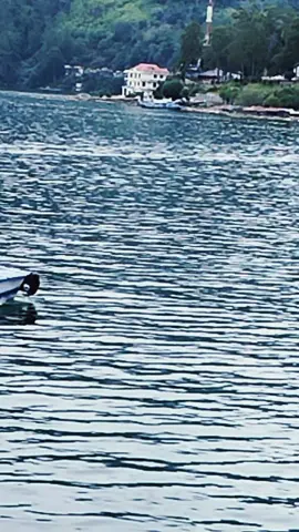 Bagian 339. Unang Au Sai Solsoli - SP2 Voice #lagubatak #viraltiktok #trendingsong #fypシ゚ 