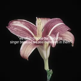 NEW ALBUM ALREADY BEING WRITTEN ?! || ib @️  || #fyp #fyppp #fav #sabrinacarpenter #mansbestfriend @Sabrina Carpenter @Team Sabrina scp @౨ৎ 𝐥𝐮𝐥𝐮 