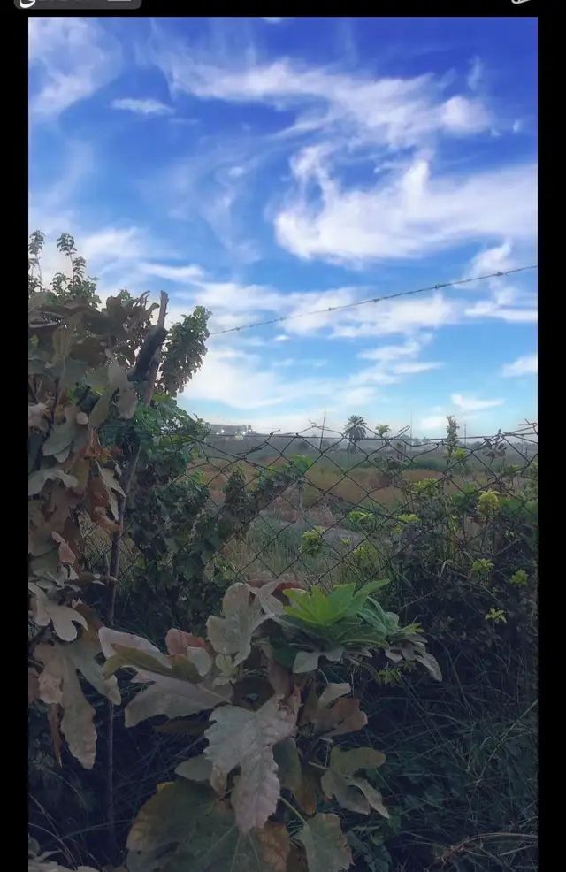 #شعب_الصيني_ماله_حل😂😂 #اكسبلور 