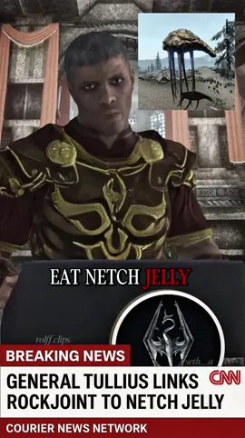 Courier News Network BREAKING NEWS -OC #skyrim #skyrimmemes #nordgram #trump #tylenol 