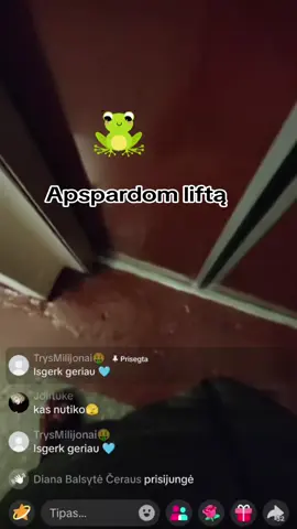 #kristina #fenixtarot13 #kristinakaminskaitetiskuviene #soprano #tik_tok @wilmis.soprano 