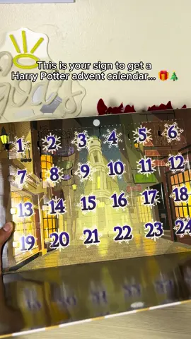 Tag someone who needs this🪄 #harrypotter #harrypottertiktok #christmas 