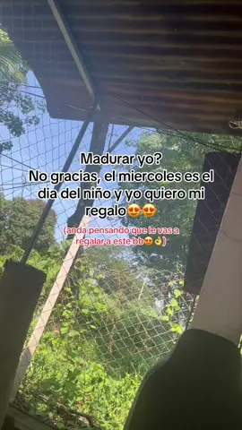 #paratiiiiiiiiiiiiiiiiiiiiiiiiiiiiiii 