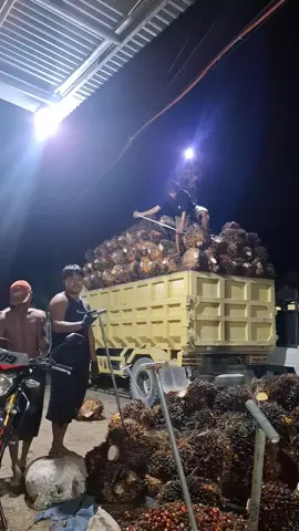 #promomakangajian #CapCut 