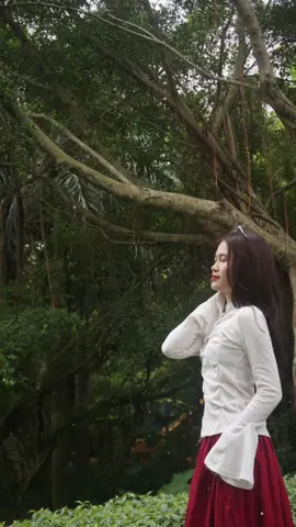 như một giấc mơ, em chẳng muốn tỉnh giấc