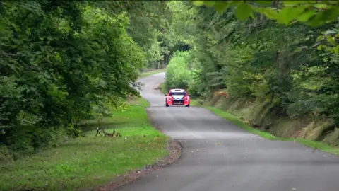 Hyundai i20 Special Show#wrcrallye 
