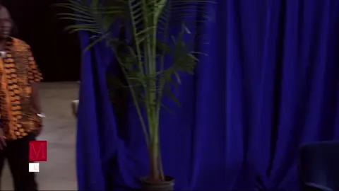 michael appears in the flesh! #90dayfiance #90dayfiancé #90dayfianceoftiktok #90dayfiancehappilyeverafter #fyp 