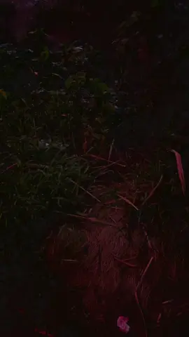 I made it choom. #cyberpunk #chongqing #cyberpunkedgerunners #city #fyp