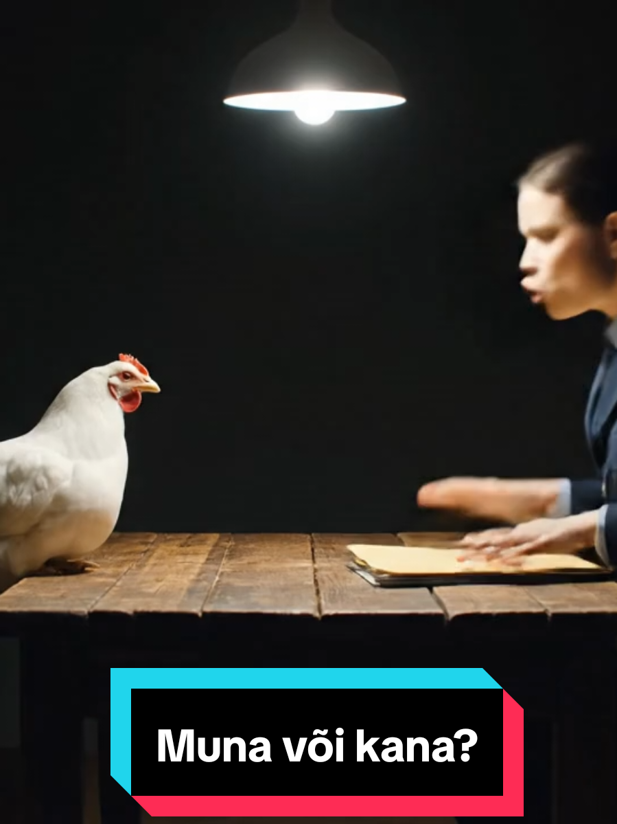 Muna või kana? 🤔  #muna #egg #kana #chicken #battle 