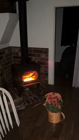 The sound of the fire crackling and the river in the backyard makes for some good sleeps 