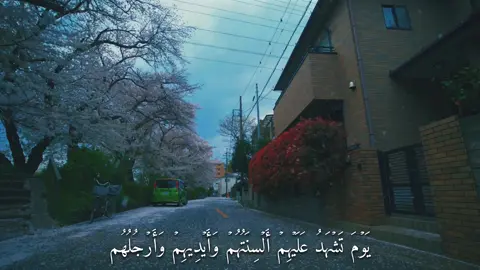 سورة النور - (يَوۡمَ تَشۡهَدُ عَلَيۡهِمۡ أَلۡسِنَتُهُمۡ وَأَيۡدِيهِمۡ وَأَرۡجُلُهُم بِمَا كَانُواْ يَعۡمَلُونَ) #القارئ#ماهرالمعيقلي#قران#quran  #اكتب_شي_توجر_عليه 