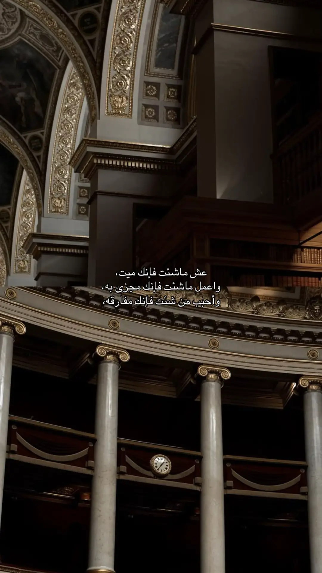 #explor #fyp #عبارات 