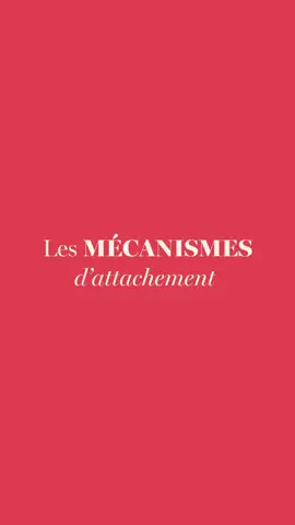 On parle toujours des bad boys et des filles chiantes qui cartonnent en séduction. Mais personne ne se demande vraiment pourquoi. 👉🏻 La réponse est simple : l'attachement insécure. Quand quelqu'un te ghoste, te fait sentir qu'il n'a pas de temps pour toi, ou te met en position d'attente... alors il devient irrésitible. Le pire ? ✨ Quelqu'un qui te répond vite, qui est gentil, prévenant, attentionné... Tu vas trouver ça chiant. C'est complètement paradoxal, mais c'est comme ça. L'attachement insécure, c'est comme une drogue relationnelle. Plus c'est toxique, plus tu en veux. Alors voilà ce que tu dois faire : ✔️ Commence à voir l'attachement sécure différemment ✔️ Accepte qu'une relation stable n'est pas forcément ennuyeuse ✔️ Arrête de courir après les gens qui t'envoient ces signaux d'attachement insécure Peut-être est-il temps d'arrêter de confondre drama et passion ? Et de réaliser que l'amour sain, c'est pas si ennuyeux que ça. 👉🏻 Si tu souhaites plonger au coeur de ce sujet, rejoins moi ce mardi 30 septembre pour ma conférence en LIVE (je te l'offre 🥰). Clique sur le lien en bio pour réserver ta place 💌 À nos Amours, Florentine #florentinedaulnoiswang #lespaceducouple #intelligenceamoureuse #therapiedecouple #thérapiedecouple #relationconsciente #relationamoureuse #relationdecouple #vieadeux #developpementpersonnel #viedecouple #devpersonnel #dévperso #AnosAmours