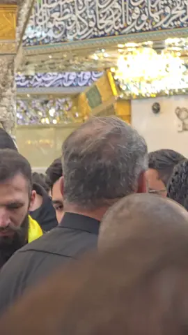 #سيد_الجنوب #سيد_حسن_نصر_اللّه  #نعم_يحبني_الحسين_كيف_لا 