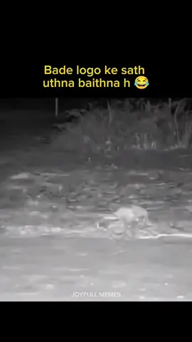 powerful doge's bahi 😁🤣