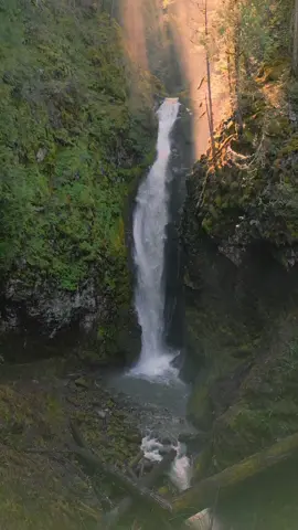 Looking up at this incredible waterfall as sunlight breaks through the forest, casting golden rays that dance in the mist above the falls. The lush green canyon walls, rushing water, and radiant beams create a scene that feels almost angelic—like nature’s own cathedral 😍 