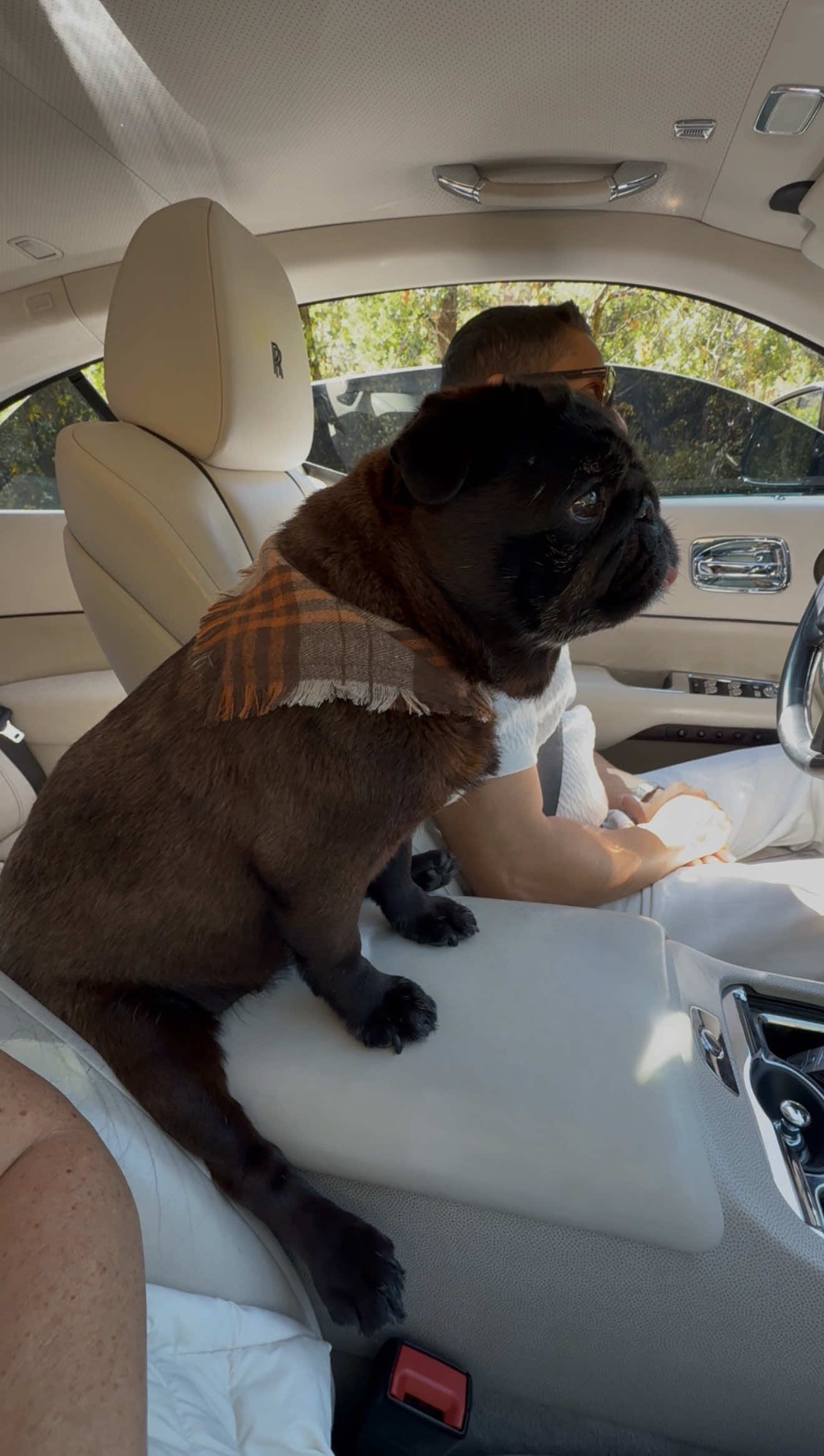 Happiness’ morning in SF 🌁