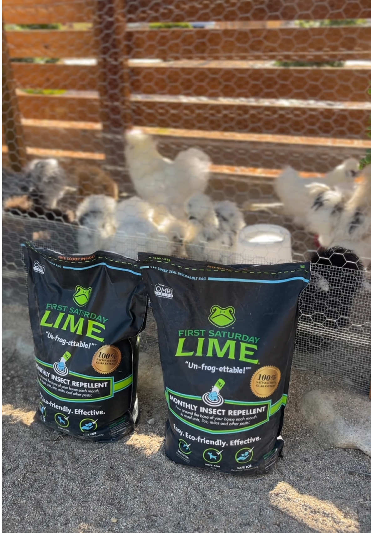 I have odor & pest free coops✨  all thanks to First Saturday Lime🐸 This is a MUST for us & we have been doing this since we started our chicken journey we do this monthly. TRUST me when I tell you need this you do🐓🦆  @First Saturday Lime  It's LINKED HERE!! 