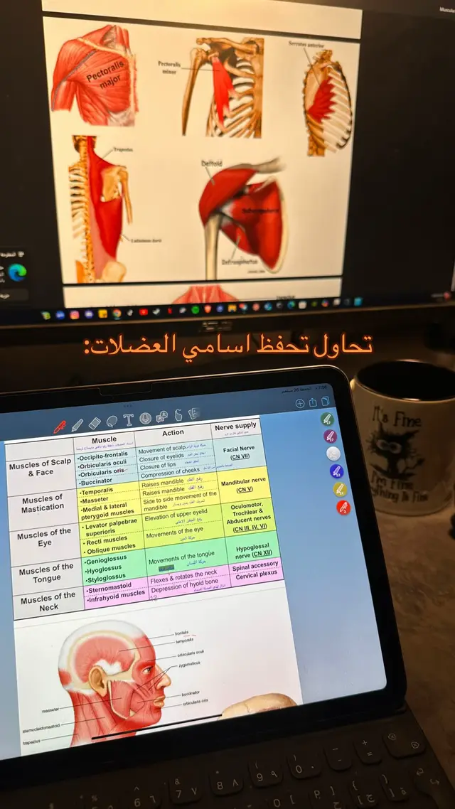 . #Anatomy #4u #explore #study #اكسبلور 