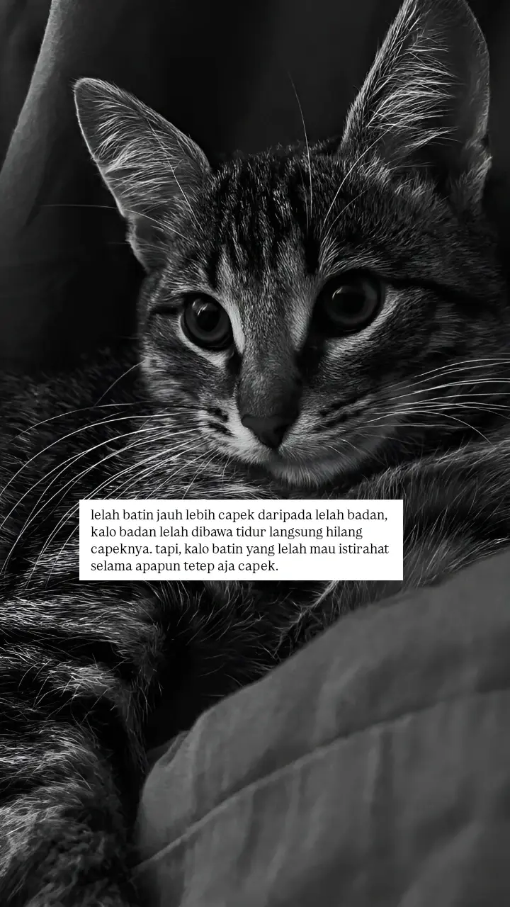#4u #sadstory #fyp 