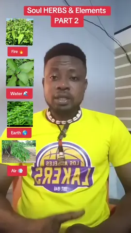 Soul herbs and elements  #spirituality #fypシ゚ #foryoupage❤️❤️ #viralvideos #trendingvideos 