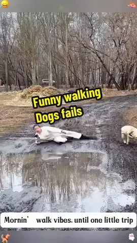 Sometimes dogs are  cute,but Walking dogs fails 😂😂😂#walkingdogs#funnytiktok 