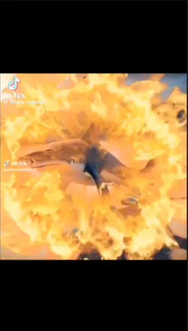 #tralalerotralala🗣🔥 #nonono #smurfcat #fyp 