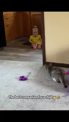 Cats Struggling with Kids 😹👶#funnypets #catsoftiktok #catmemes #meowlife #funnycats