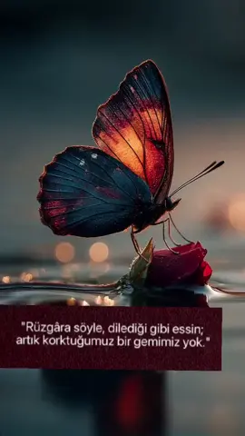 #keşfetteyizzz 
