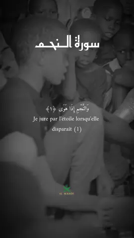 Sourate an Najm  #القران_الكريم #quran #islamic_video #recitationcoran #pourtoi 