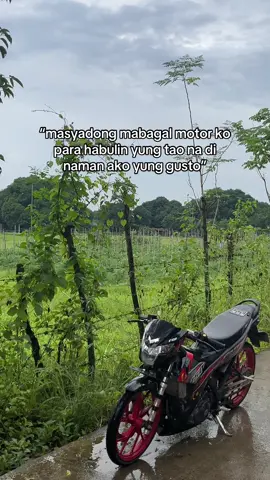 aray moo #satria150fi_độ_kiểng #satriaf150 #satria #satriafu content onlyy HAHAHHAHA