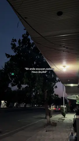 Bölüm 81..   🌫️❤️‍🩹 #fypシ゚  #fyp 