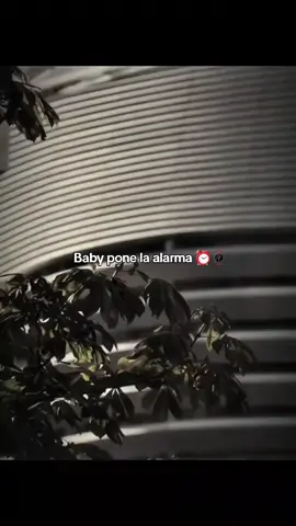 BEYBI PON LA ALARMA ⏰️ QUE POR TI MADRUGO 🫣🥵8:15 am.🥱 #REALMADRID  #madridista_team💎🔥⚔️☠️ #paratiiiiiiiiiiiiiiiiiiiiiiiiiiiiiiiiii🦋 #VAMOSHALAMADRID  #ATLENTICOMADRID  @Real Madrid C.F. 