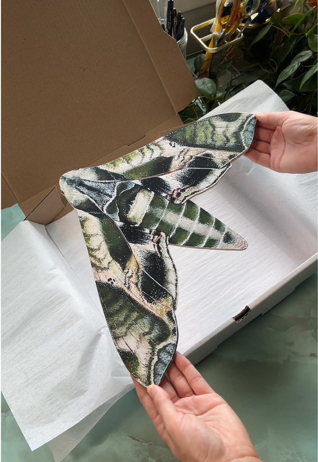 This week was soooo huge! #butterflies #moths #ecelcticdecor #walldecor #cottagecore 