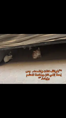 #CapCut #creatorsearchinsights #لاحول_ولا_قوة_الا_بالله_العلي_العظيم #fyppppppppppppppppppppppp #ربنا_اتنا_في_الدنيا_حسنه_وفي_الأخرة 