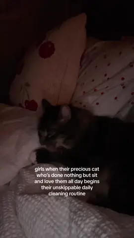 the licking noises i can’t it makes me feel like ripping my skin off #cat 