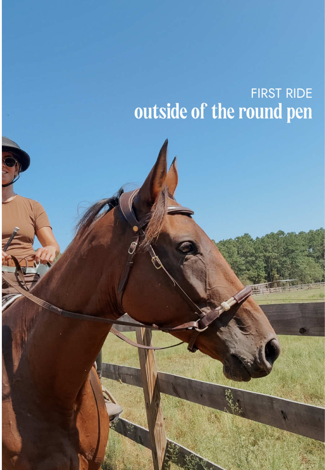 Vela’s first ride outside the round pen was such a milestone and honestly a win we were really needing 🥺 She was more forward, more relaxed, and even (shockingly!!!!) began trotting to the right with ease.  As you can see in this video, I’ve been experimenting with varying levels of contact with her. And as I’ve mentioned before, she seemed to rely very heavily on the bit for balance. We will be experimenting with different ways to help her learn to carry herself a bit more (including continuing our pole work during groundwork and soon beginning under saddle). I just ordered a neck rope with handle from @correct_connect_ for myself as I find myself having a tendency to balance on the reins after being out of the saddle again for the past six months and I don’t want to be a hindrance to her at all throughout the process. So I’ll for sure update on how it (hopefully) helps us! What do you guys think? Can you see a difference in how she’s moving compared to our last videos under saddle?! #thoroughbredmare | #velanova | restart project | #naturalhorsemanship | #conscioushorsemanship | #bitlessriding | ethical horse care
