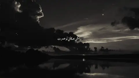 أعاين واعدد للشمر 🫩#قصائد #باسم_الكربلائي #أجر #fyp #explor 