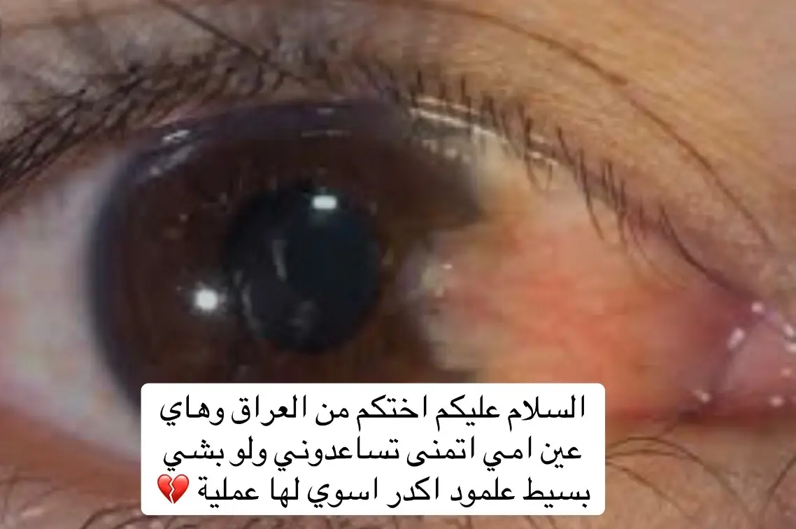 #🖤🖤🖤🖤🖤🖤🖤🖤🖤🖤🖤🖤🖤🖤 