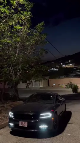 #دهوك_زاخو_سليماني_ئاكري_ئامیدی_هولیر #شعب_الصيني_ماله_حل😂😂 #🦅 #duhok_zaxo_amedi_semel_akre #capcut 