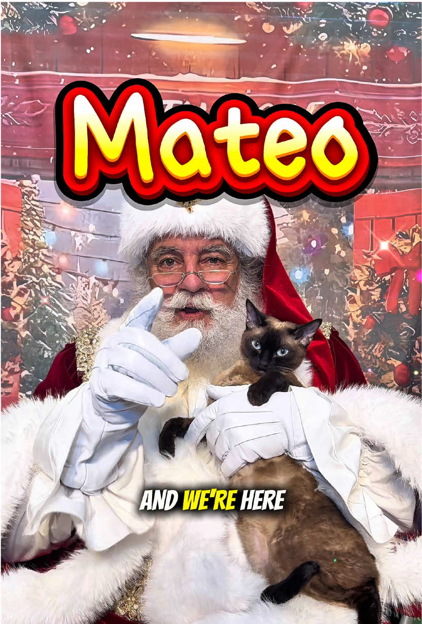 Welcome #mateo to #miamigosantalist #nicelist #devonrexcat #ChristmasMagic  