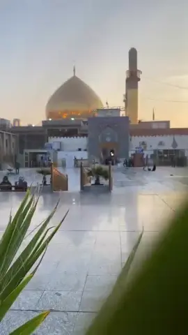 #مولد_الحسن_العسكري #مولد_الامام_الحسن_العسكري #مولد_العسكري #الامام_الحسن_العسكري #سامراء 