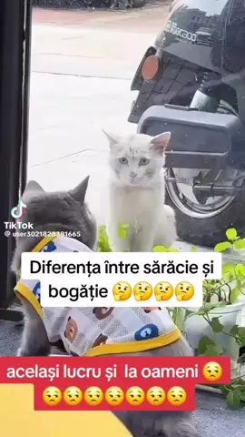 #duet cu @Casa  Suferinței 🖤🖤🖤 #romania #fyyyyyyyyyyyyyyyy #foryoupage❤️❤️ 