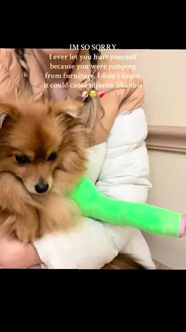 No more injuries since getting the pet steps for my small dog. This is a must have dog product if you have small dogs and senior dogs @Made4pets-us #tiktokshopfalldealsforyou #tiktokshopcreatorpicks #dogproducts #dogmusthaves #dogessentials 