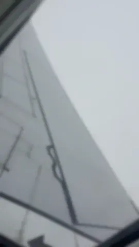 Flight 4 is headed to Disneyland ✨