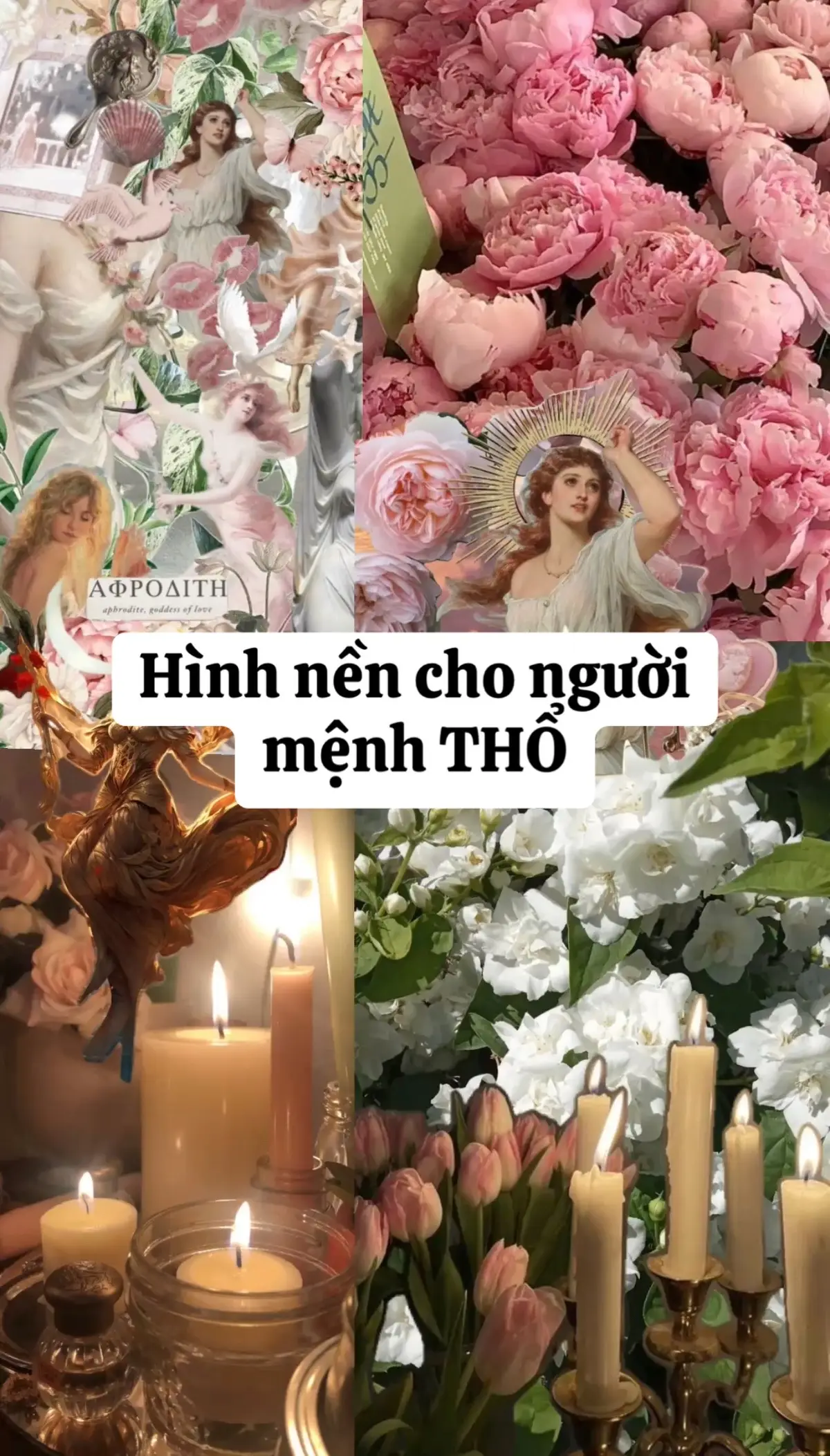 Hình nền dành cho người mệnh Thổ – biểu tượng của sự kiên định và sung túc 🌏 🌼 Màu vàng – nâu đất giúp cân bằng năng lượng, hút tài lộc và tăng sự may mắn. 📲 Hãy để chiếc điện thoại của bạn trở thành “bùa hộ mệnh” nhỏ, luôn nhắc nhở về sự vững vàng và phát triển. 👉 Tải về ngay để mang năng lượng tích cực bên mình! #menhtho #phongthuy #foryou 