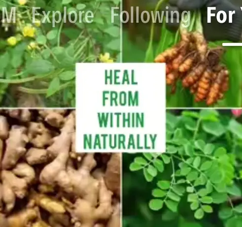 HERBAL MEDICINE IS GOOD FOR TREATMENT IN 2025