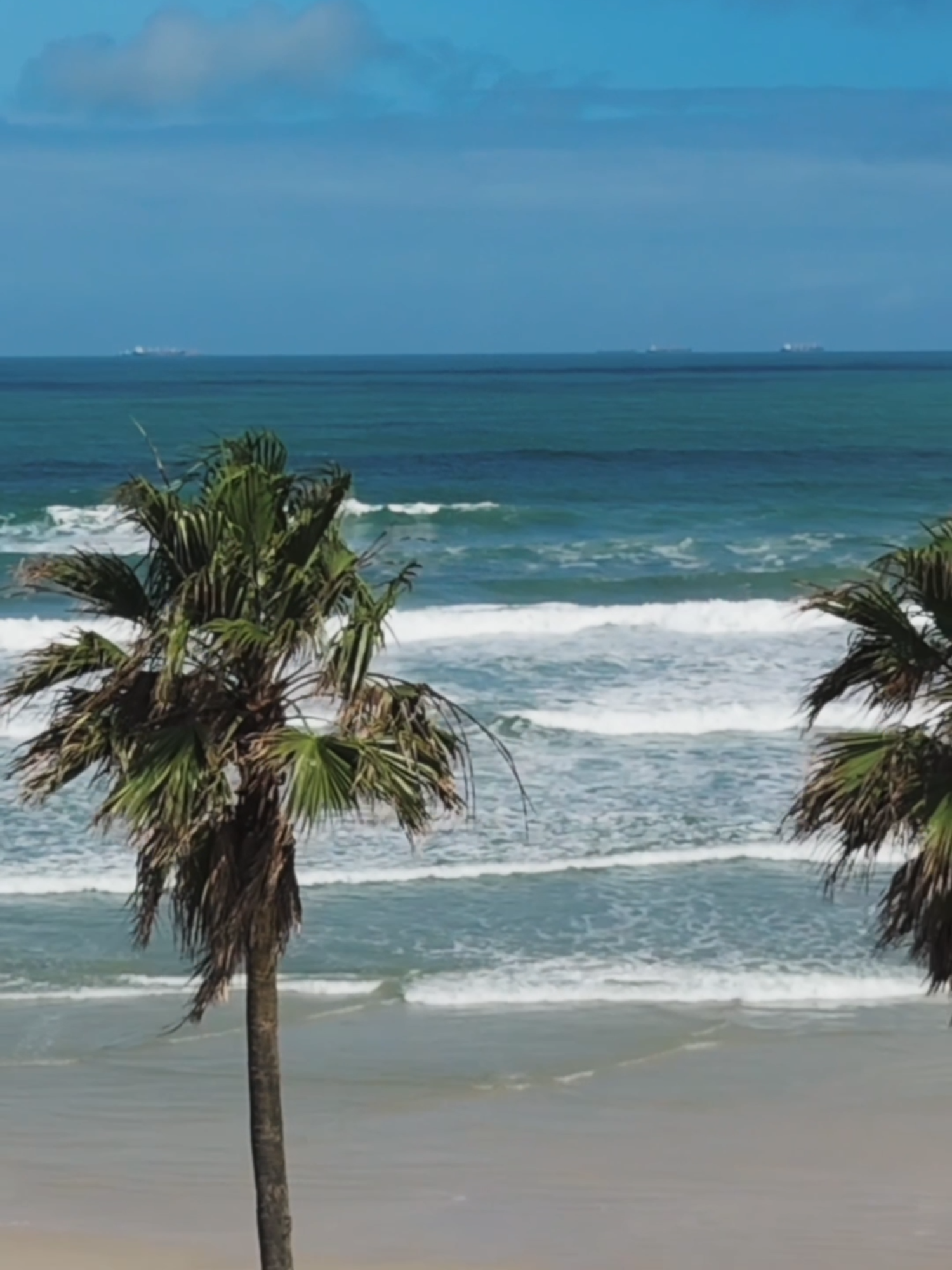 Onde o tempo desacelera e cada instante se vive com intensidade. Foi nesse clima que realizamos o meeting do Mediterranée by Living, no litoral. Nosso time de vendas mergulhou na essência do empreendimento, um conceito de wellness e bem-estar, com uma experiência exclusiva no Casa Grande Hotel Resort & Spa. Beach tênis, beach club, spa e momentos de conexão traduziram, na prática, o estilo de vida que o Mediterranée by Living oferece. Saiba mais sobre o empreendimento no link da bio. #MeuLiving #arquitetura #Wellness #livingempreendimentos #lançamento