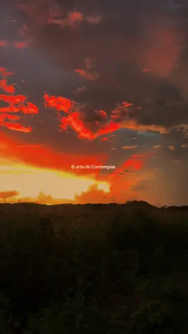 Mi lugar favorito soy yo viendo atardeceres 🌅  #sunset #atardecer 